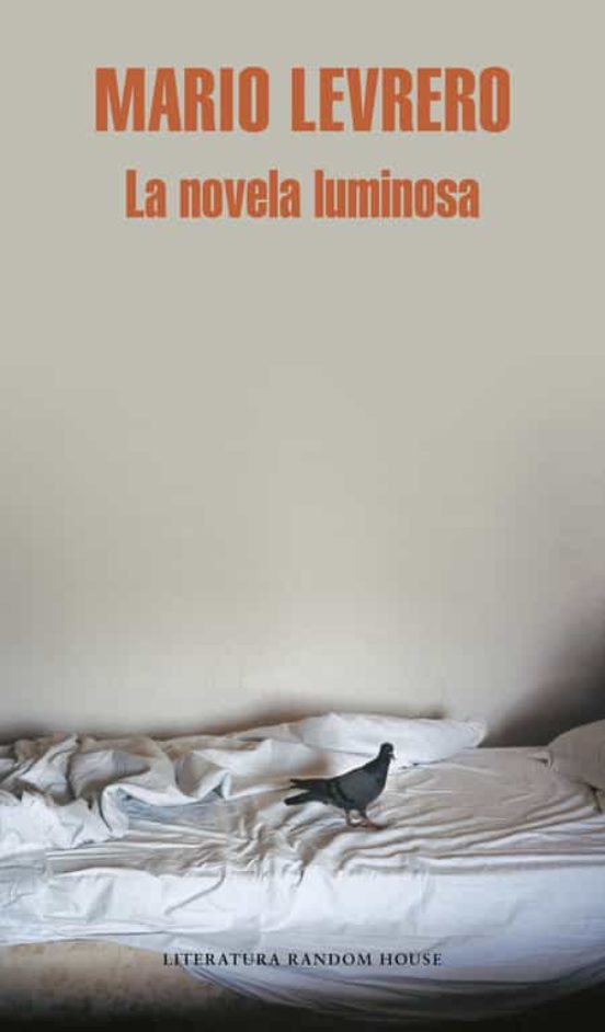 NOVELA LUMINOSA, LA