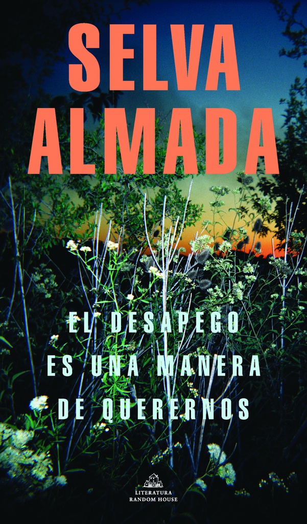 DESAPEGO ES UNA MANERA DE QUERERNOS, EL